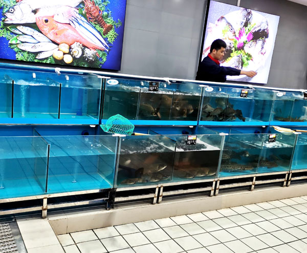 魚(yú)缸