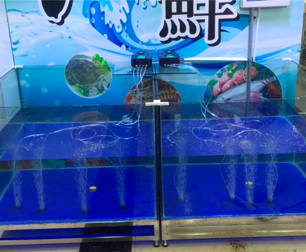 魚(yú)缸